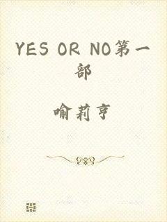 YES OR NO第一部